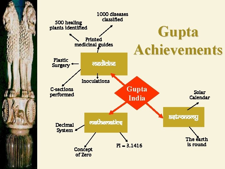 1000 diseases classified 500 healing plants identified Gupta Achievements Printed medicinal guides Plastic Surgery