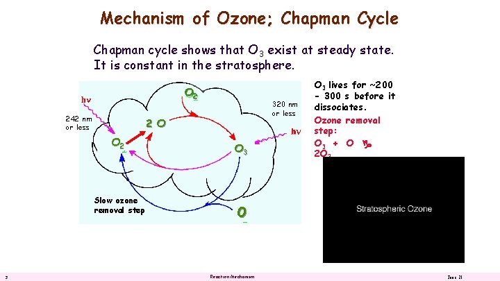 Mechanism of Ozone; Chapman Cycle Chapman cycle shows that O 3 exist at steady