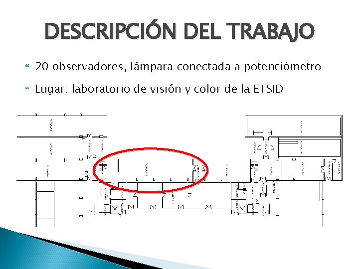 DESCRIPCIÓN DEL TRABAJO 20 observadores, lámpara conectada a potenciómetro Lugar: laboratorio de visión y