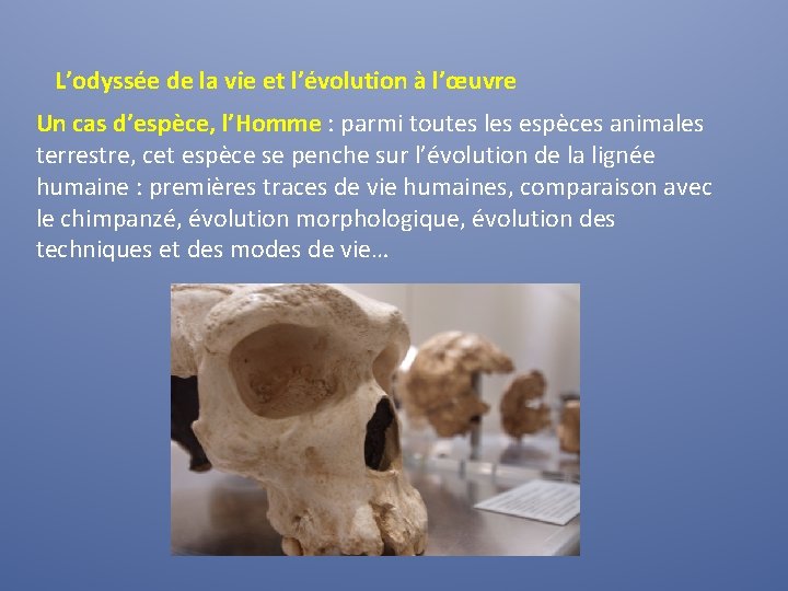 L’odyssée de la vie et l’évolution à l’œuvre Un cas d’espèce, l’Homme : parmi