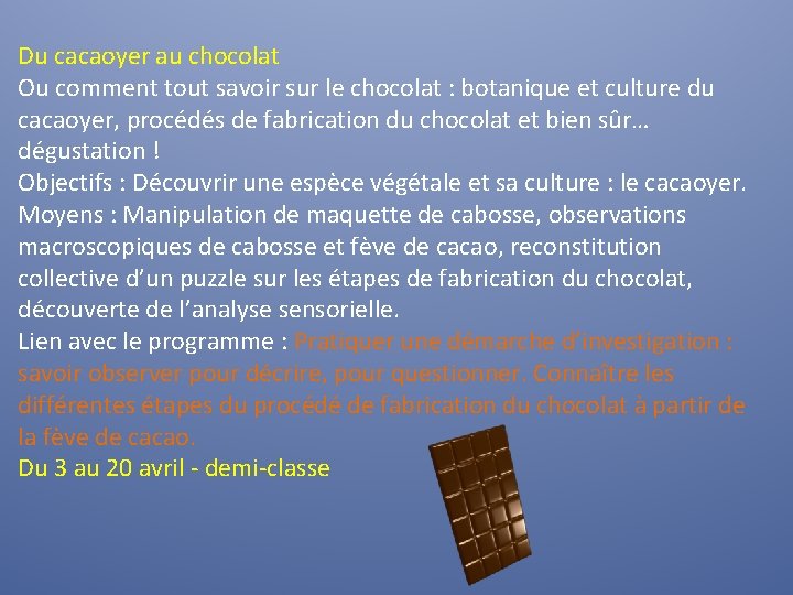 Du cacaoyer au chocolat Ou comment tout savoir sur le chocolat : botanique et