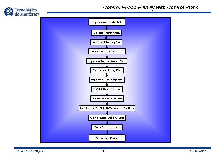 Control Phase Finality with Control Plans Improvement Selected Develop Training Plan Implement Training Plan