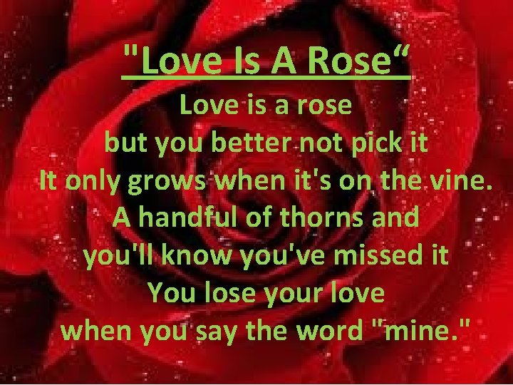 "Love Is A Rose“ Love is a rose but you better not pick it