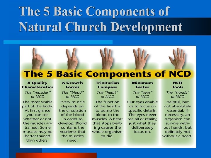 The 5 Basic Components of Natural Church Development 