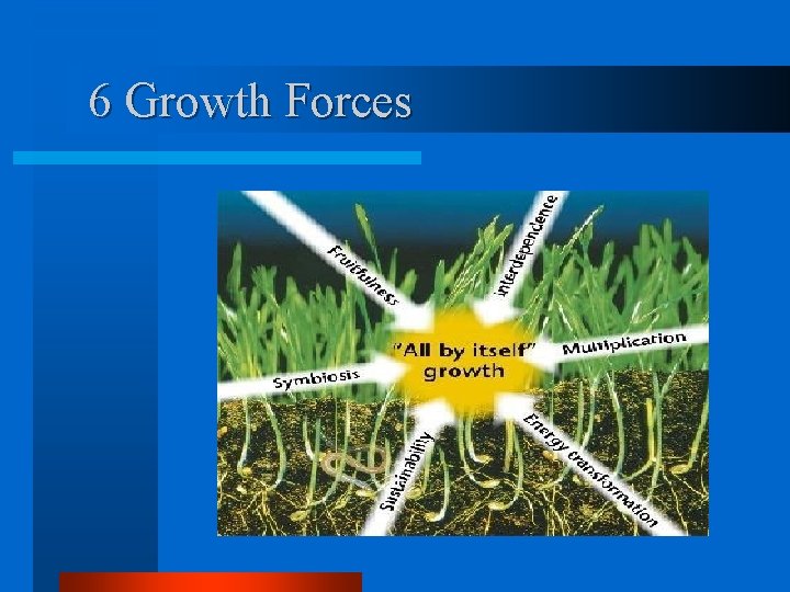 6 Growth Forces 