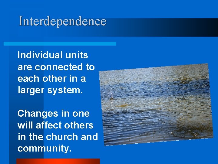 Interdependence Individual units are connected to each other in a larger system. Changes in