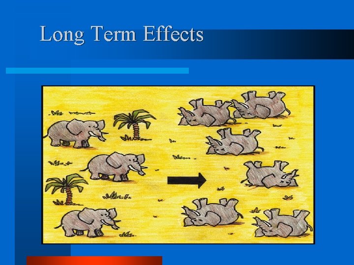Long Term Effects 