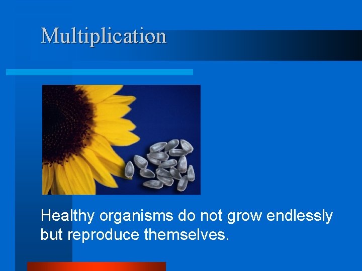 Multiplication Healthy organisms do not grow endlessly but reproduce themselves. 
