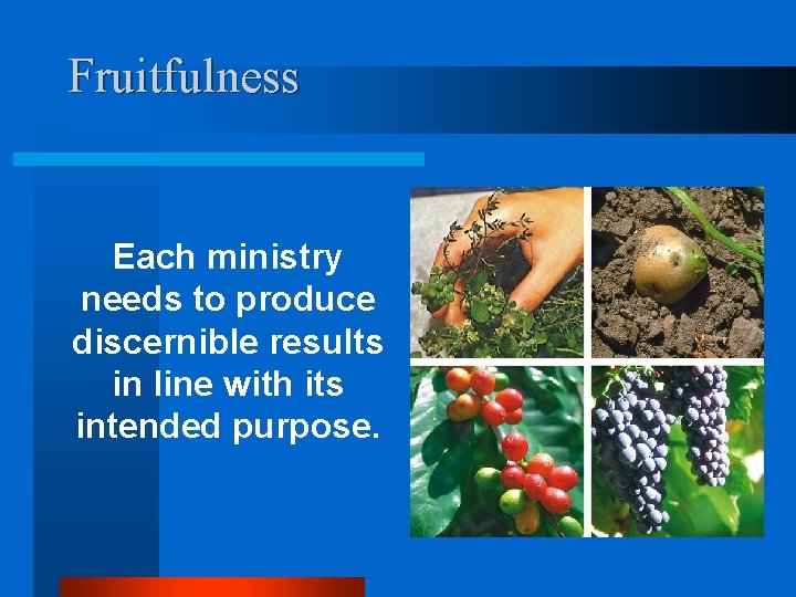 Fruitfulness Each ministry needs to produce discernible results in line with its intended purpose.
