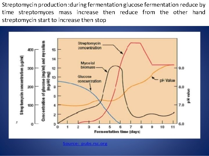 Streptomycin production : during fermentation glucose fermentation reduce by time streptomyces mass increase then