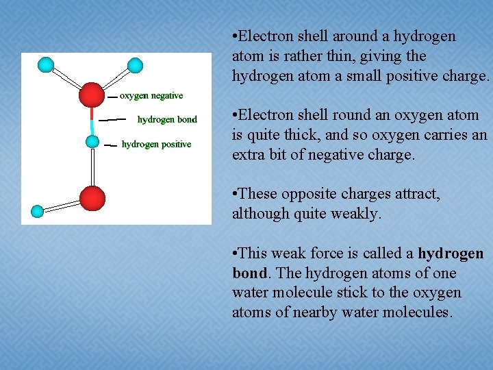  • Electron shell around a hydrogen atom is rather thin, giving the hydrogen