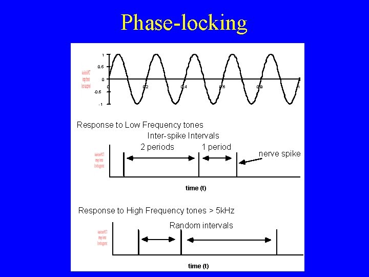 Phase-locking 1 0. 5 0 0 0. 2 0. 4 0. 6 0. 8