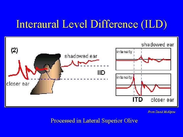 Interaural Level Difference (ILD) From David Mc. Alpine Processed in Lateral Superior Olive 