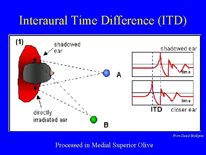Interaural Time Difference (ITD) From David Mc. Alpine Processed in Medial Superior Olive 