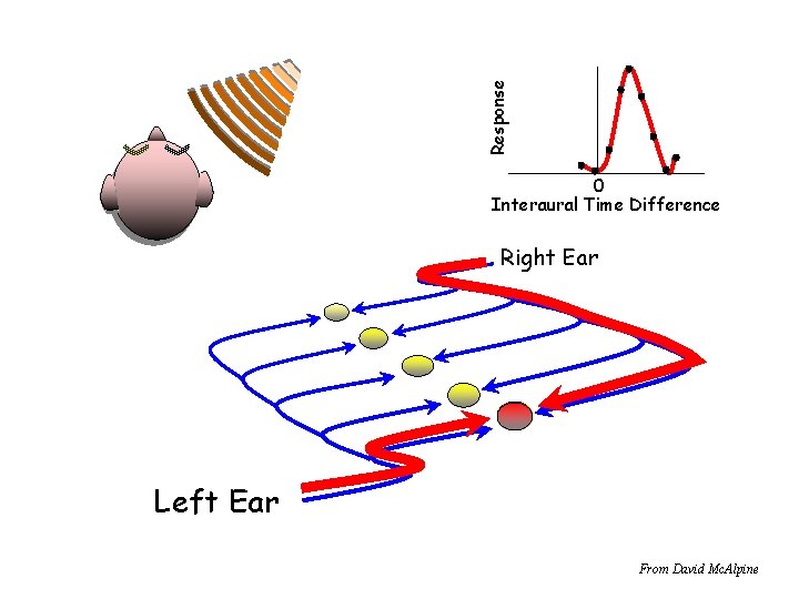 Response 0 Interaural Time Difference Right Ear Left Ear From David Mc. Alpine 