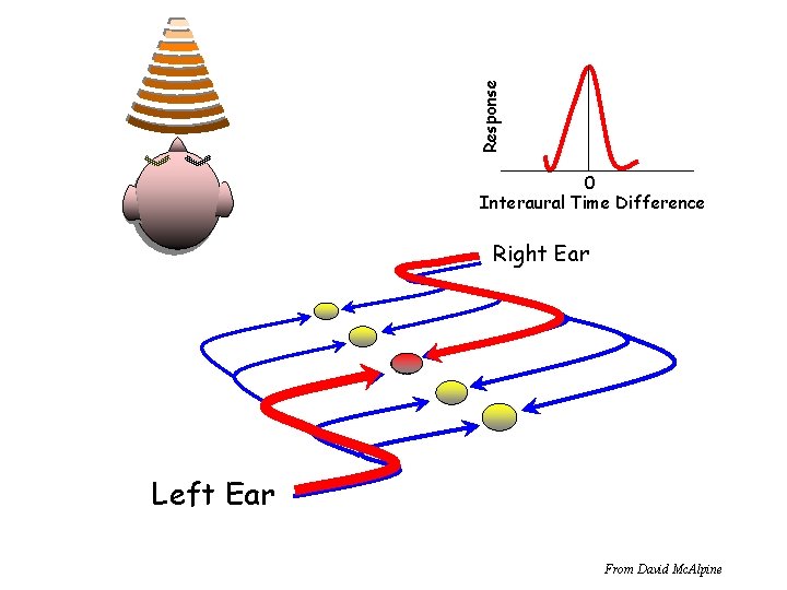 Response 0 Interaural Time Difference Right Ear Left Ear From David Mc. Alpine 