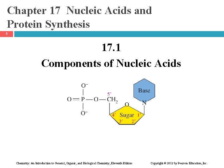 Chapter 17 Nucleic Acids and Protein Synthesis 1 17. 1 Components of Nucleic Acids