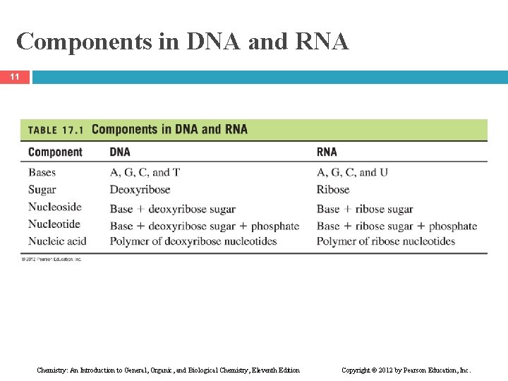 Components in DNA and RNA 11 Chemistry: An Introduction to General, Organic, and Biological