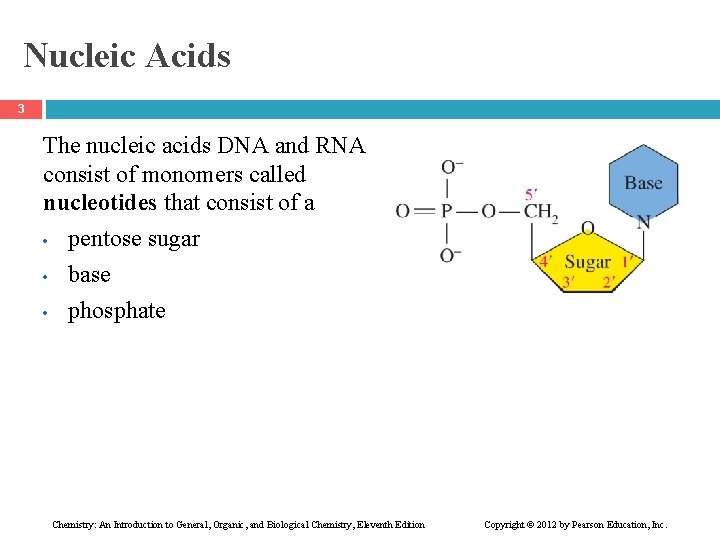 Nucleic Acids 3 The nucleic acids DNA and RNA consist of monomers called nucleotides