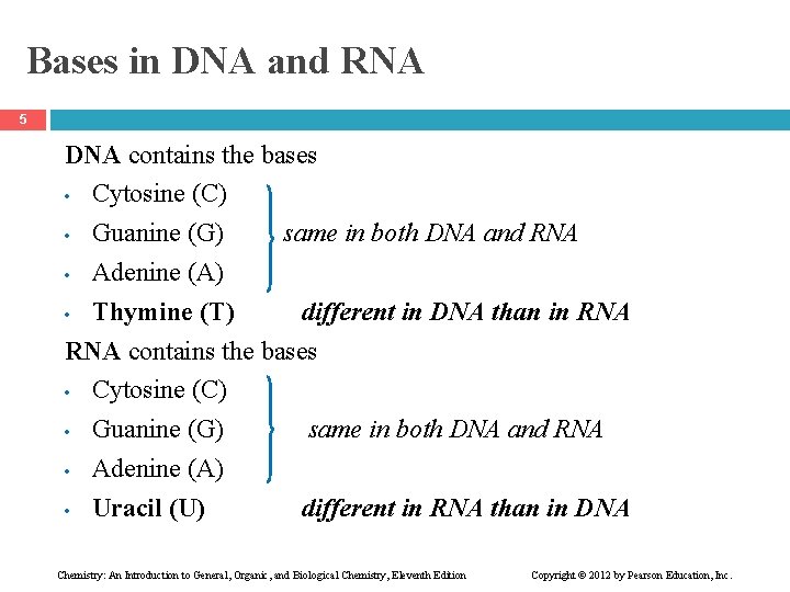 Bases in DNA and RNA 5 DNA contains the bases • Cytosine (C) •