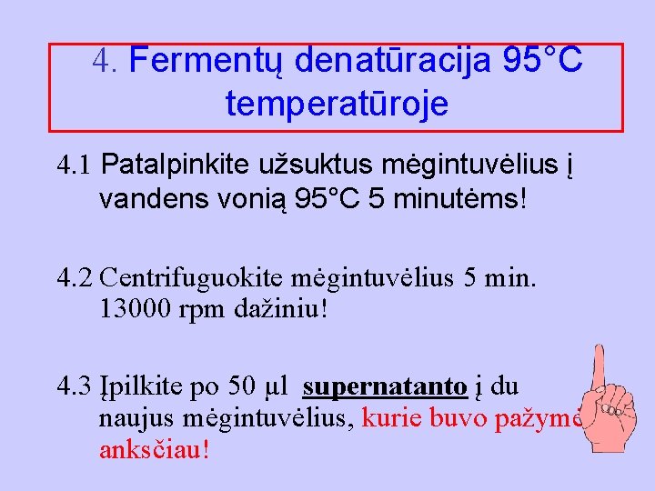 4. Fermentų denatūracija 95°C temperatūroje 4. 1 Patalpinkite užsuktus mėgintuvėlius į vandens vonią 95°C