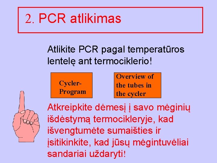 2. PCR atlikimas Atlikite PCR pagal temperatūros lentelę ant termociklerio! Cycler. Program Overview of