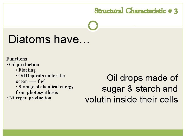 Structural Characteristic # 3 Diatoms have… Functions: • Oil production • Floating • Oil Structural Characteristic # 3 Diatoms have… Functions: • Oil production • Floating • Oil