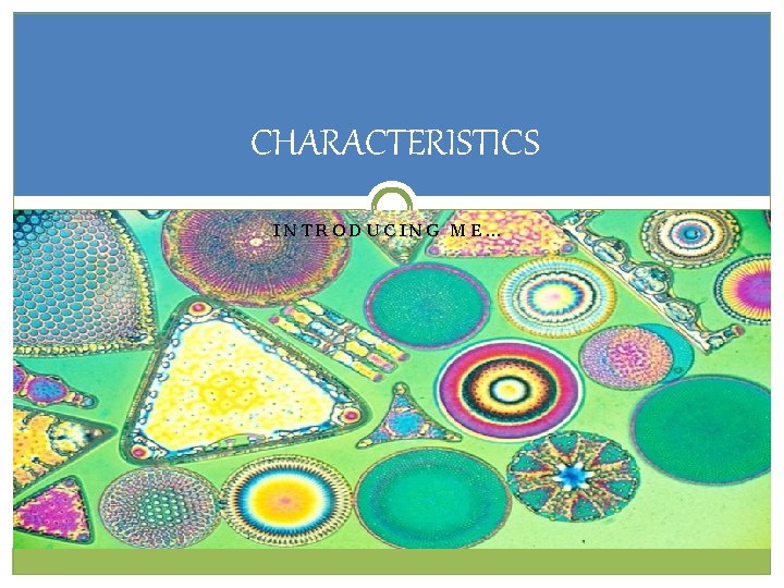 CHARACTERISTICS INTRODUCING ME… CHARACTERISTICS INTRODUCING ME…
