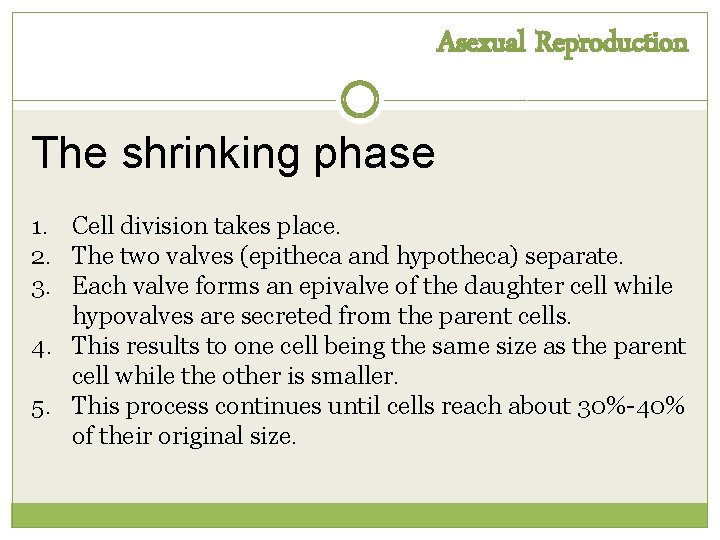 Asexual Reproduction The shrinking phase 1. Cell division takes place. 2. The two valves Asexual Reproduction The shrinking phase 1. Cell division takes place. 2. The two valves