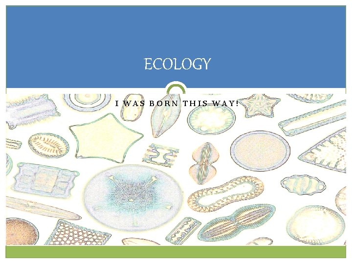 ECOLOGY I WAS BORN THIS WAY! ECOLOGY I WAS BORN THIS WAY!