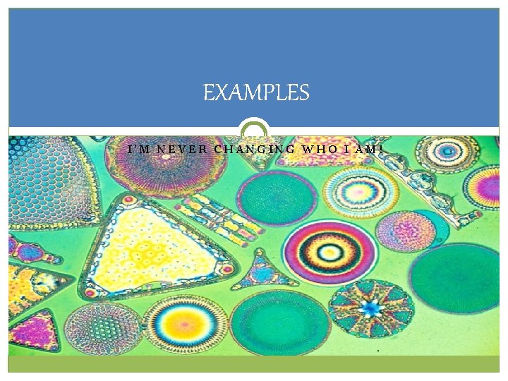 EXAMPLES I’M NEVER CHANGING WHO I AM! EXAMPLES I’M NEVER CHANGING WHO I AM!