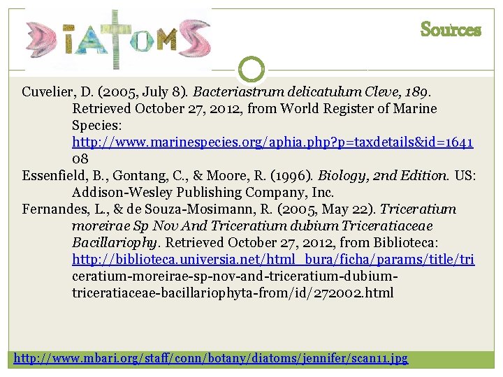 Sources Cuvelier, D. (2005, July 8). Bacteriastrum delicatulum Cleve, 189. Retrieved October 27, 2012, Sources Cuvelier, D. (2005, July 8). Bacteriastrum delicatulum Cleve, 189. Retrieved October 27, 2012,