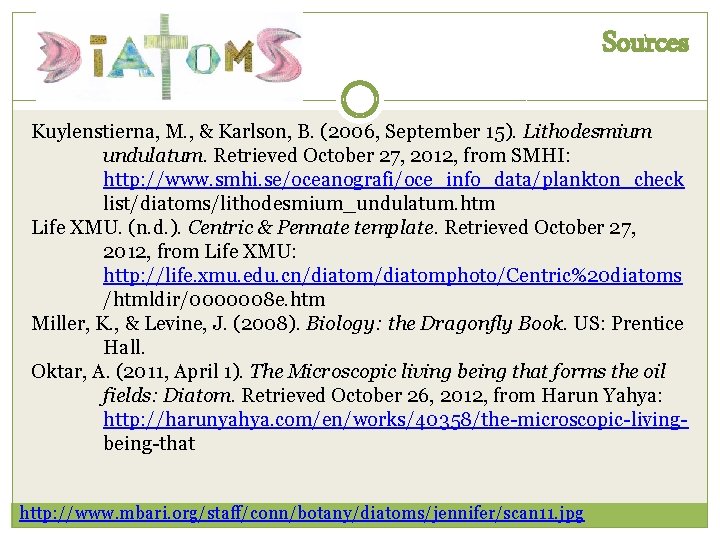 Sources Kuylenstierna, M. , & Karlson, B. (2006, September 15). Lithodesmium undulatum. Retrieved October Sources Kuylenstierna, M. , & Karlson, B. (2006, September 15). Lithodesmium undulatum. Retrieved October