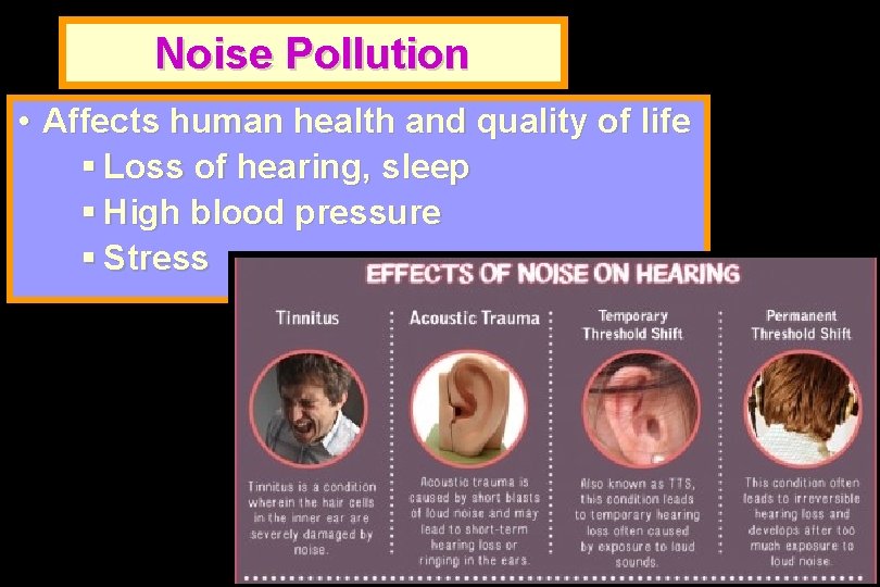 Noise Pollution • Affects human health and quality of life § Loss of hearing,