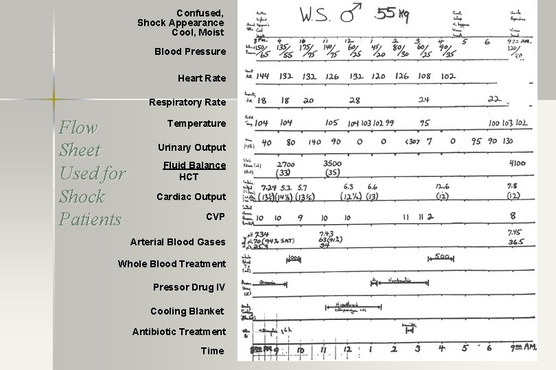 Confused, Shock Appearance Cool, Moist Blood Pressure Heart Rate Respiratory Rate Flow Sheet Used