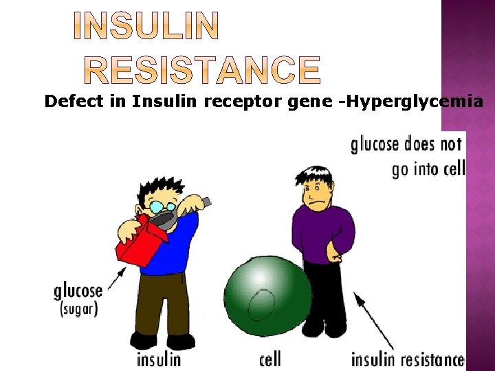 Defect in Insulin receptor gene -Hyperglycemia 