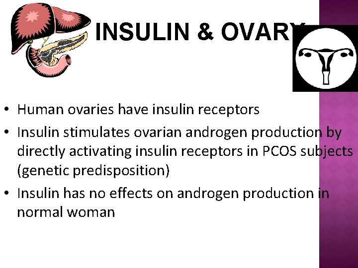 INSULIN & OVARY • Human ovaries have insulin receptors • Insulin stimulates ovarian androgen
