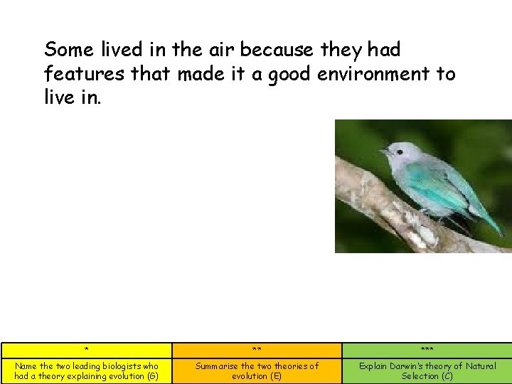 Some lived in the air because they had features that made it a good Some lived in the air because they had features that made it a good