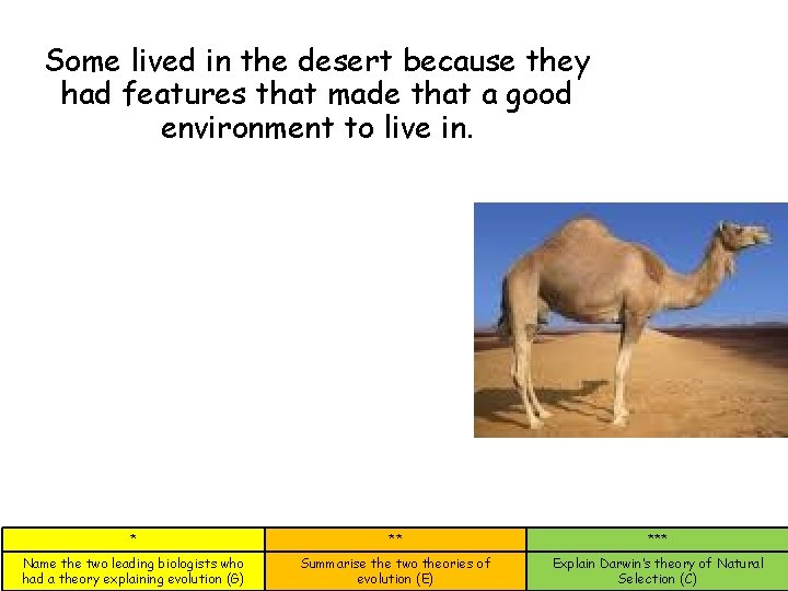 Some lived in the desert because they had features that made that a good Some lived in the desert because they had features that made that a good