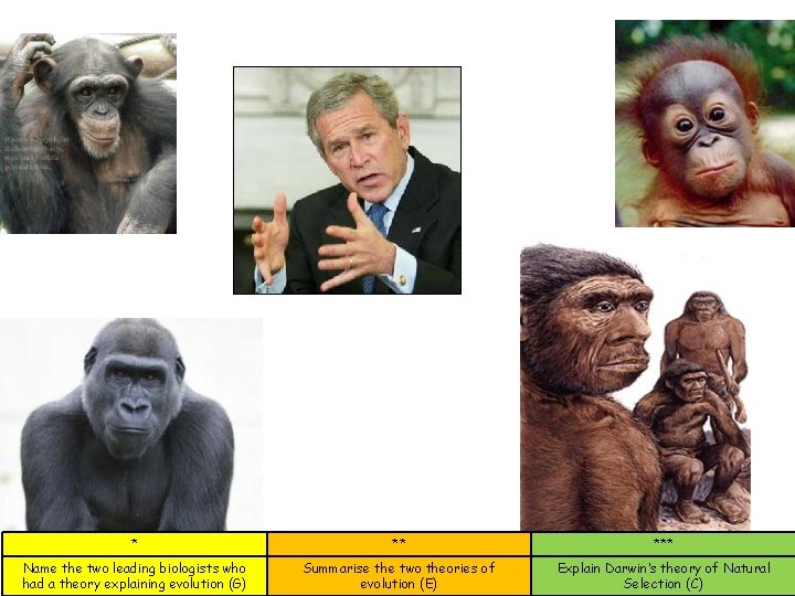 * ** *** Name the two leading biologists who had a theory explaining evolution * ** *** Name the two leading biologists who had a theory explaining evolution