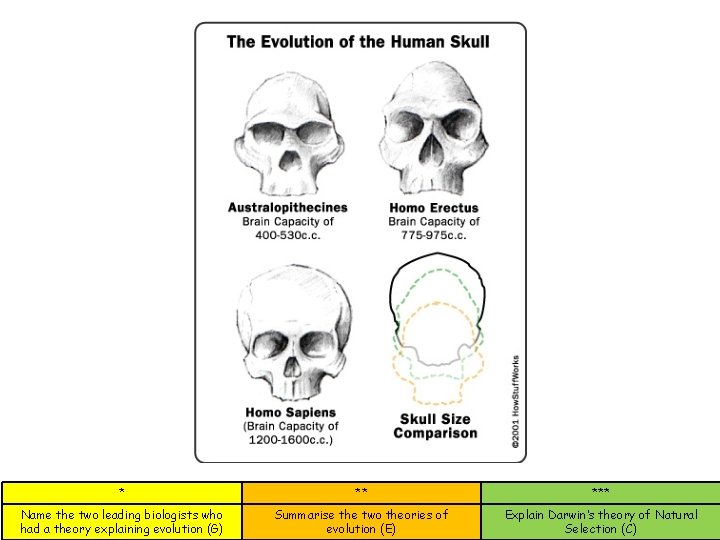* ** *** Name the two leading biologists who had a theory explaining evolution * ** *** Name the two leading biologists who had a theory explaining evolution