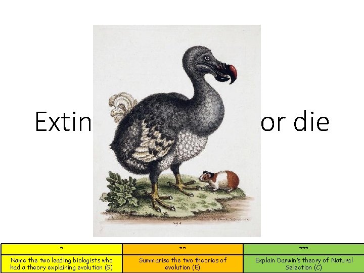 Extinction – adapt or die * ** *** Name the two leading biologists who Extinction – adapt or die * ** *** Name the two leading biologists who