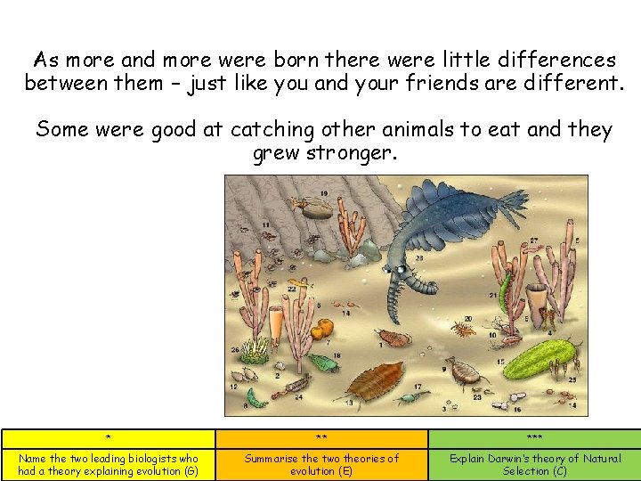 As more and more were born there were little differences between them – just As more and more were born there were little differences between them – just