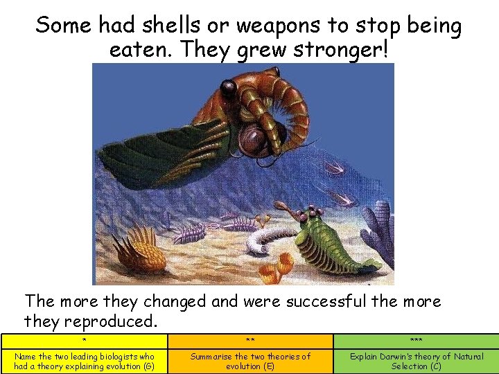 Some had shells or weapons to stop being eaten. They grew stronger! The more Some had shells or weapons to stop being eaten. They grew stronger! The more