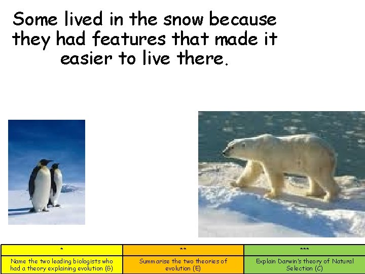 Some lived in the snow because they had features that made it easier to Some lived in the snow because they had features that made it easier to