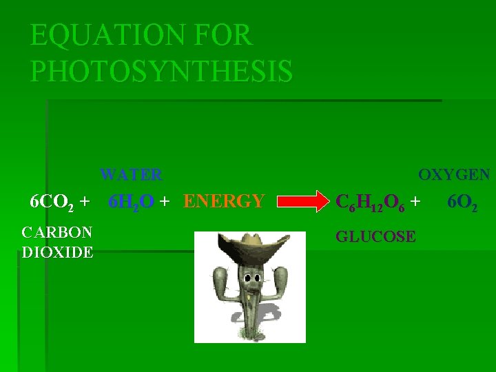 EQUATION FOR PHOTOSYNTHESIS WATER 6 CO 2 + 6 H 2 O + ENERGY