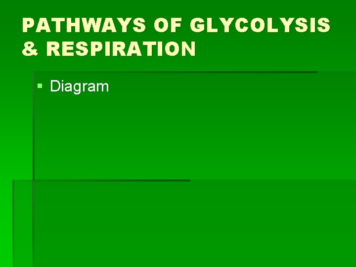 PATHWAYS OF GLYCOLYSIS & RESPIRATION § Diagram 