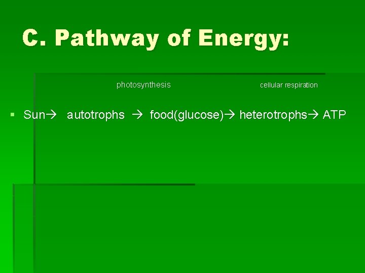 C. Pathway of Energy: photosynthesis cellular respiration § Sun autotrophs food(glucose) heterotrophs ATP 