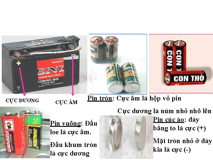 _ + CỰC DƯƠNG CỰC M Pin tròn: Cực âm là hộp vỏ pin