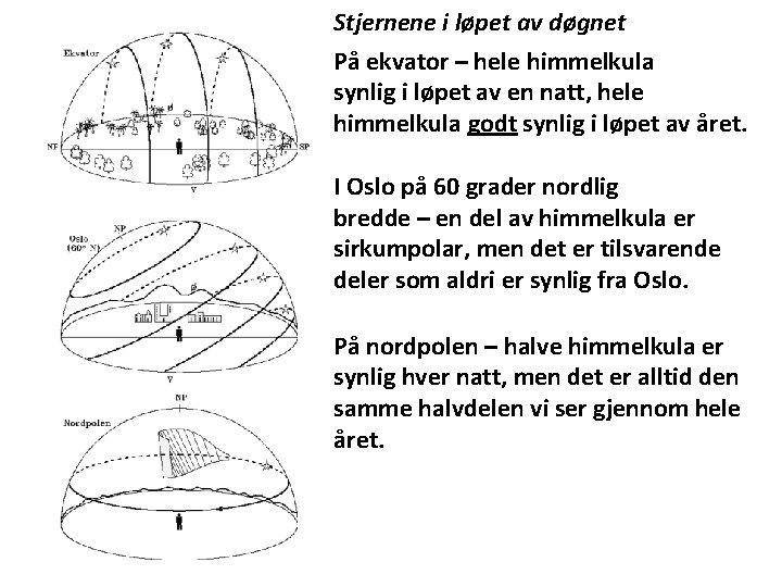 Stjernene i løpet av døgnet På ekvator – hele himmelkula synlig i løpet av